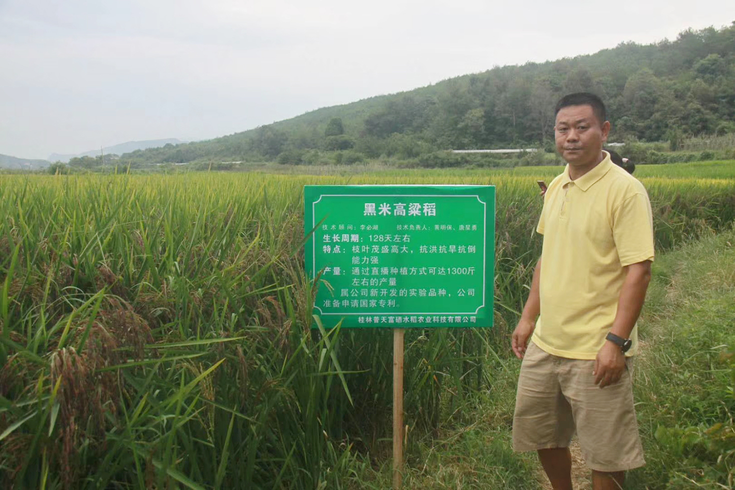 對(duì)人體健康至關(guān)重要的微量元素——硒 